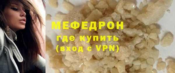 стаф Аркадак