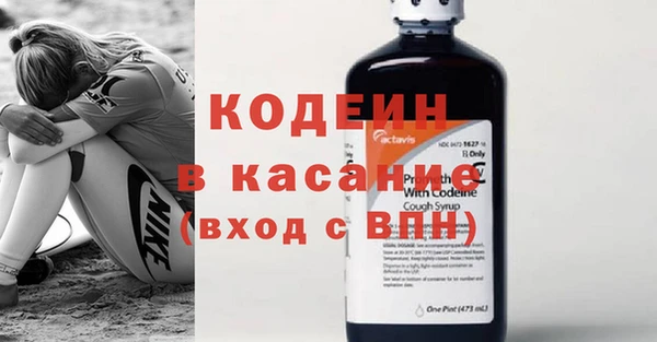 стаф Аркадак