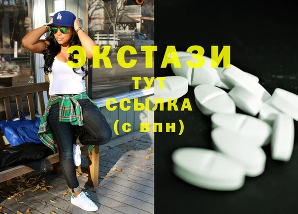 стаф Аркадак